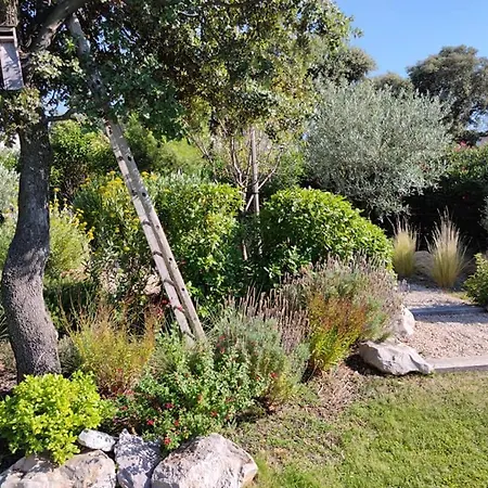 Bed & Breakfast La Mathilde Villeneuve-lès-Avignon