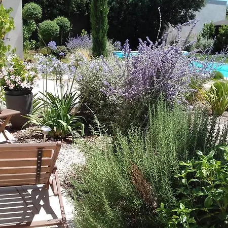La Mathilde Bed and Breakfast Villeneuve-lès-Avignon